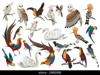 Gli uccelli più grandi hanno uno stile realistico e dettagli di alta qualità. Vettore. Illustrazione Vettoriale