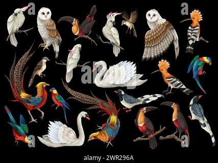 Gli uccelli più grandi hanno uno stile realistico e dettagli di alta qualità. Vettore. Illustrazione Vettoriale