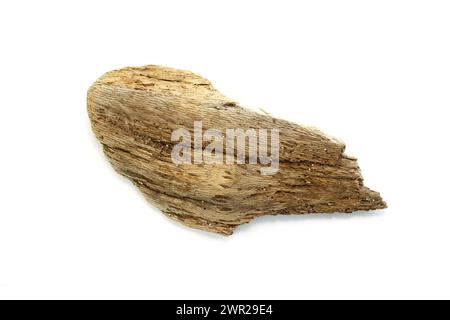Frammento di materiale isolato su sfondo bianco. Bogwood decorativo. Foto Stock