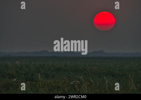 Grande sole rosso che tramonta su una prateria africana Foto Stock