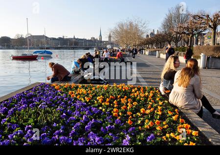 È arrivata la primavera, i fiori stanno crescendo e la Promenade del lago di Zürichs è piena di persone che si godono il sole || Der Frühling ist da, Die Blumen blühnen u Foto Stock