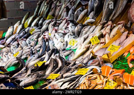 Pesce fresco e frutti di mare al banco del mercato turco di Istanbul Foto Stock