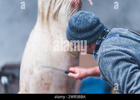 vista posteriore di un uomo che taglia un maiale appeso, macelleria. Foto di alta qualità Foto Stock