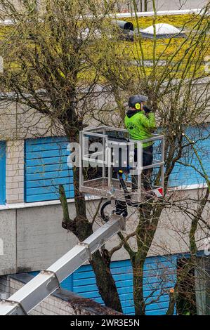 Cura degli alberi con piattaforma di lavoro, Kempten, Allgaeu, Baviera, Germania Foto Stock