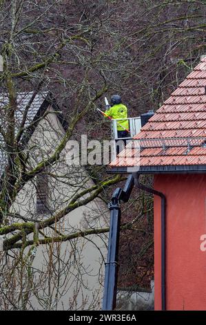 Cura degli alberi con piattaforma di lavoro e motosega, Kempten, Allgaeu, Baviera, Germania Foto Stock