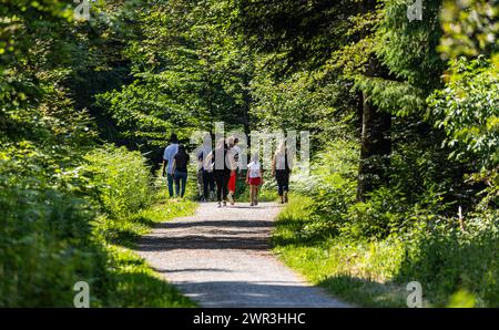 Eine Gruppe von Menschen läuft auf einem Waldweg. (Dietlikon, Schweiz, 01.06.2023) Foto Stock