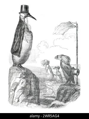 Animali antropomorfi. Pinguino umanizzato.Animals. CRISPR. CAS9. Alieni. illustrazione vintage disegnata a mano. cartone animato e umorismo. Foto Stock