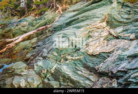 Bahia Ensenada Zaratiegui, Parco Nazionale Terra del fuoco, Patagonia, Argentina Foto Stock