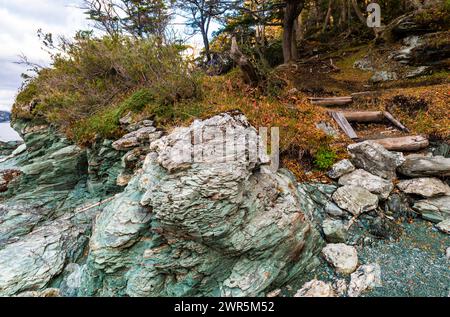 Bahia Ensenada Zaratiegui, Parco Nazionale Terra del fuoco, Patagonia, Argentina Foto Stock