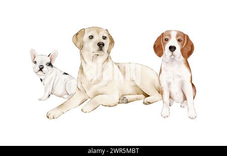 Acquerello Labrador retriever, beagle e bulldog francese. Illustrazione disegnata a mano di animali carini. Clipart isolato per la progettazione di cartoline, imballaggi e palo Foto Stock