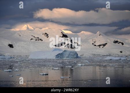 ©PHOTOPQR/VOIX DU NORD/PIERRE ROUANET ; 26/02/2024 ; ANTARCTIQUE, LE 26/02/2024. Croisiere dite d'Expedition vers le Continent blanc, la peninsule Antarctique (continente australe, polo sud, Antartide, polo sud, glace, banquise, Iceberg), au dela du cercle polaire, par l'operateur touristique francais Exploris (membre de l'IAATO tourisme Responsible). Arrivee sur la peninsule Antarctique apres deux jours et demi de haute mer. Neko Harbour, en Terre de Graham. FOTO PIERRE ROUANET LA VOIX DU NORD Feb 2024 cosiddetta crociera di spedizione verso il continente bianco, la penisola antartica (sud Foto Stock