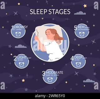 Fasi del sonno. Ciclo sonno scienza di routine infografica, fase sano naturale adeguatamente riposo rem fase notte profondo sogno concetto donna dormito personaggio fumetto vettore illustrazione del sonno ciclo Illustrazione Vettoriale