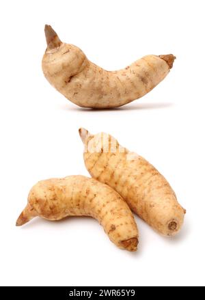 Fresco Gastrodia elata blume su sfondo bianco Foto Stock