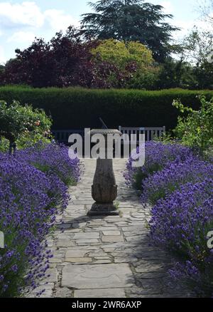 lavanda e meridiana, seppellire st edmunds Foto Stock