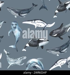 Balene senza cuciture. Texture ripetuta con mammiferi marini. Illustrazione acquerello. Delfino, balena assassina, balena megattere. Disegnato a mano isolato Foto Stock