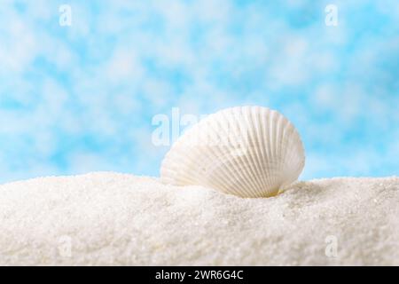 Grande e bellissima conchiglia di mare con sabbia bianca su sfondo bokeh astratto blu Foto Stock
