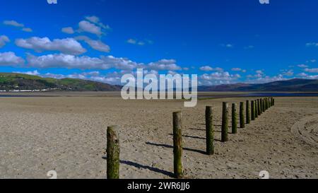 Primavera sull'estuario Dyfi, Ceredigion Wales UK Foto Stock