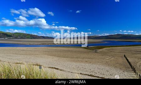 Primavera sull'estuario Dyfi, Ceredigion Wales UK Foto Stock