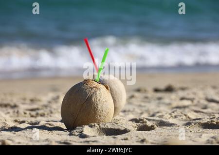 Cocktail di cocco con cannucce su una spiaggia di mare Foto Stock