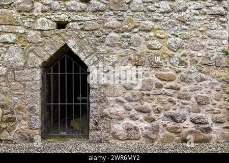 Castledermot Abbey, Contea di Kildare, Irlanda Foto Stock