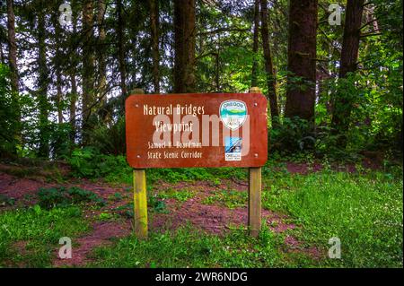 Punto panoramico dei ponti naturali nel Samuel H. Boardman State Scenic Corridor Foto Stock