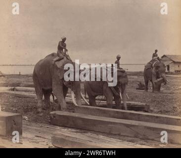 Working Elephants in Timber Yards, Yangon, Myanmar, Three Working Elephants in a Carpentry workshop, Rangoon, union of Myanmar (ex Birmania)., Anonymous, Yangon, c. 1870 - c. 1900, carta, stampa albume, altezza 212 mm x larghezza 255 mm, altezza 400 mm x larghezza 278 mm, fotografia Foto Stock