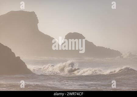 Una costa rocciosa con una grande onda che si schianta contro le rocce. L'acqua è instabile e il cielo è coperto, creando un'atmosfera allegra e drammatica. Foto Stock