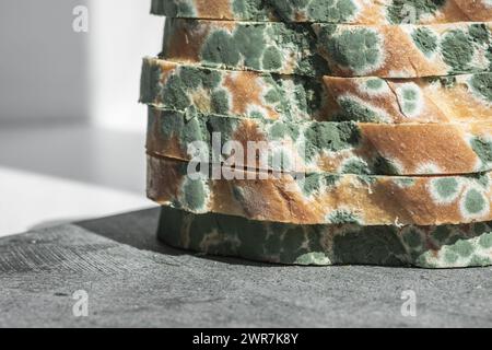 La vecchia muffa sulle fette di pane di grano. Cibo viziato su sfondo in pietra grigia Foto Stock