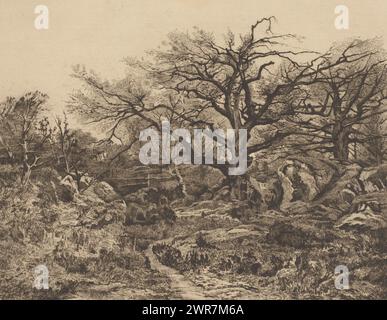Cacciatori nella foresta di Fontainebleau, tipografo: Auguste Danse, (firmato dall'artista), su disegno di: Théodore Baron, 1897, carta, incisione, punto di essiccazione, altezza 407 mm x larghezza 532 mm, stampa Foto Stock