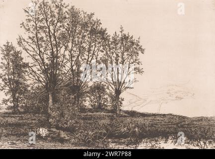 Paesaggio con quattro salici e un ruscello, tipografo: Alfred Elsen, (firmato dall'artista), 1881, carta, incisione, altezza 235 mm x larghezza 329 mm, stampa Foto Stock