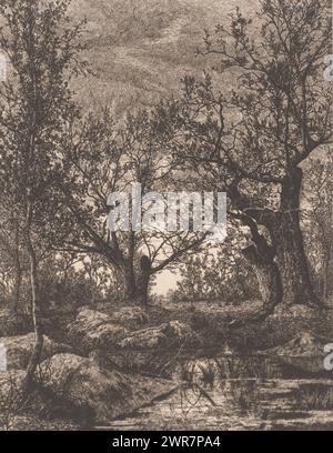 Paesaggio con alberi e paludi, stampatore: Alfred Elsen, 1879, carta, incisione, altezza 293 mm x larghezza 235 mm, stampa Foto Stock