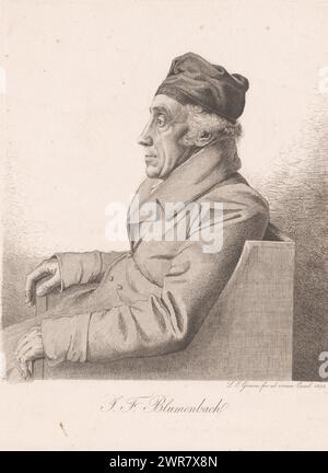 Ritratto di Johann Friedrich Blumenbach, stampatore: Ludwig Emil Grimm, Cassel, 1823, carta, incisione, altezza 234 mm x larghezza 172 mm, stampa Foto Stock