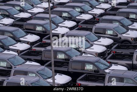 Pick-up Ford FX4 in magazzino, nel porto d'oltremare di Bremerhaven, dopo l'importazione dagli Stati Uniti in Germania, bassa Sassonia, Germania Foto Stock