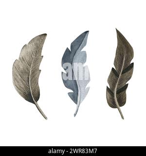 Un set di piume acquerello.Business. Immagine di elementi su sfondo bianco. Per icone, inviti, buoni regalo, design di matrimoni, adesivi, d Foto Stock
