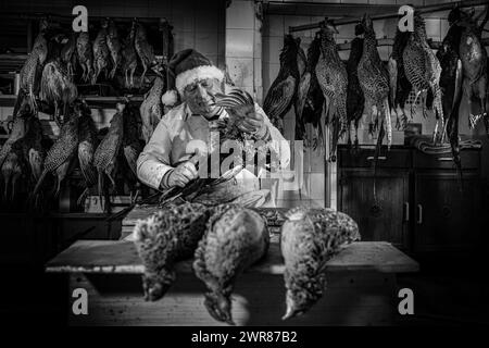 21/12/2023 Mick Hulme inizia a raccogliere 600 fagiani nella cantina sotto il suo negozio ad Ashbourne, Derbyshire. Mick, 65 anni, è la terza generazione di h Foto Stock