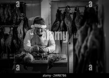 21/12/2023 Mick Hulme inizia a raccogliere 600 fagiani nella cantina sotto il suo negozio ad Ashbourne, Derbyshire. Mick, 65 anni, è la terza generazione di h Foto Stock