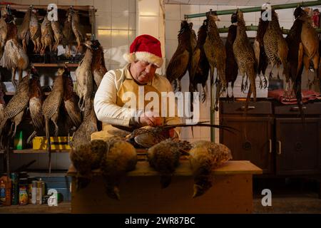 21/12/2023 Mick Hulme inizia a raccogliere 600 fagiani nella cantina sotto il suo negozio ad Ashbourne, Derbyshire. Mick, 65 anni, è la terza generazione di h Foto Stock