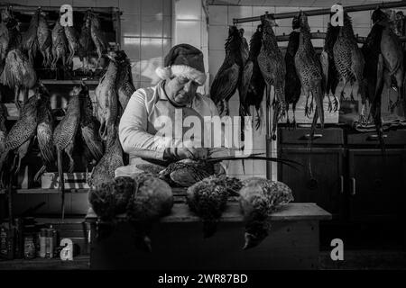 21/12/2023 Mick Hulme inizia a raccogliere 600 fagiani nella cantina sotto il suo negozio ad Ashbourne, Derbyshire. Mick, 65 anni, è la terza generazione di h Foto Stock