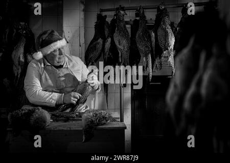 21/12/2023 Mick Hulme inizia a raccogliere 600 fagiani nella cantina sotto il suo negozio ad Ashbourne, Derbyshire. Mick, 65 anni, è la terza generazione di h Foto Stock