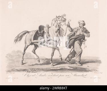 Cavallo guidato dalle redini dall'uomo orientale, Cheval Arabe conduit par un Mameluck. (Titolo su oggetto), stampatore: Philibert-Louis Debucourt, dopo disegno di: Carle Vernet, editore: Basset, stampatore: Francia, editore: Parigi, 1765 - 1832, carta, incisione, altezza 363 mm x larghezza 457 mm, stampa Foto Stock