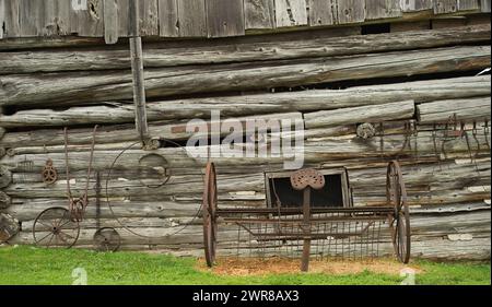 Connemara Stallion Kippure cara, Centry Hill Farm Foto Stock