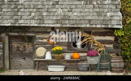 capanna in legno di legno quadrata vecchia baracca con arredamento autunnale, le mamme gialle e viola che fioriscono in vasi e secchi antichi nella campagna rurale Foto Stock