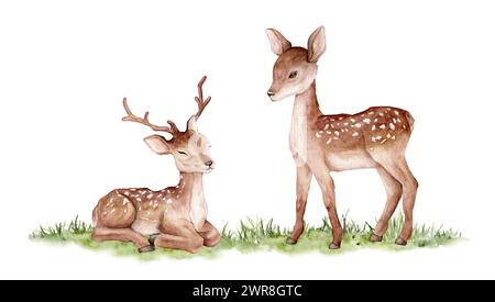 Acquerello di due cervi su erba verde astratta. Cervi maculati isolati su sfondo bianco. Modello di animale selvatico dipinto a mano per il tessuto. Animale realistico Foto Stock