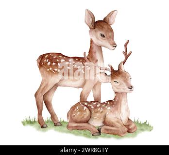 Acquerello di due cervi su erba verde astratta. Cervi maculati isolati su sfondo bianco. Modello di animale selvatico dipinto a mano per il tessuto. Animale realistico Foto Stock