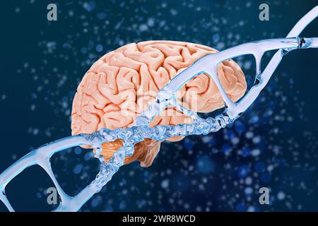 cervello umano, elica della struttura del dna, acido deossiribonucleico, molecole nucleiche, connessioni neurali, ricerca sul genoma, scienza dello sviluppo, informazione, chr Foto Stock