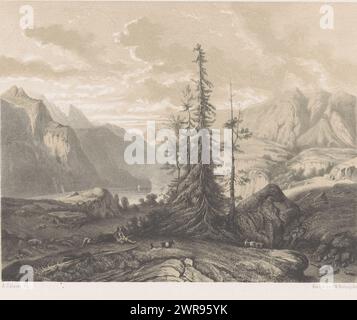 Paesaggio di montagna con pastori e capre, un pino al centro., stampatore: Jacob Jan van der Maaten, (attribuito a), su disegno di: Alexandre Calame, stampatore: Koninklijke Nederlandse Steendrukkerij van C.W. Mieling, l'Aia, 1830 - c. 1865, carta, altezza 360 mm x larghezza 545 mm, stampa Foto Stock