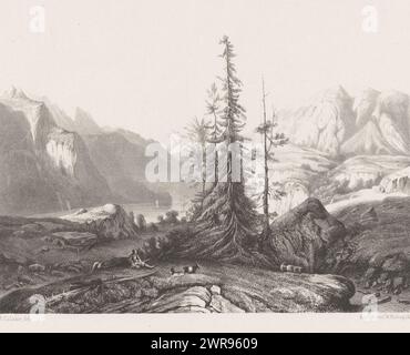 Paesaggio di montagna con pastori e capre, un pino al centro., stampatore: Jacob Jan van der Maaten, (attribuito a), su disegno di: Alexandre Calame, stampatore: Koninklijke Nederlandse Steendrukkerij van C.W. Mieling, l'Aia, 1830 - c. 1865, carta, altezza 362 mm x larghezza 545 mm, stampa Foto Stock