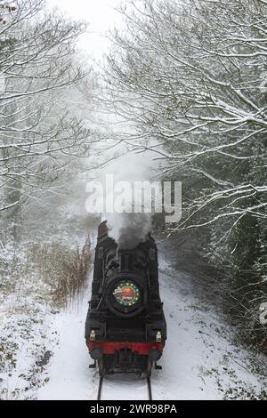 03/12/2023 lo speciale natalizio della Ecclesbourne Valley Railway, «Babbo Natale Enchanted Journey», fuma attraverso boschi innevati vicino a Wirksworth, dopo aver superato i primi anni Foto Stock