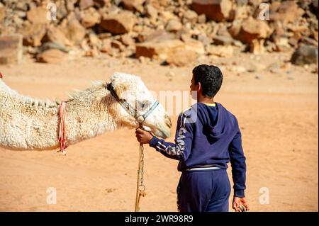 Dicembre 27 2022 - deserto di Wadi Rum - Giordania - Beduino in giacca rossa con il suo cammello crea un legame Foto Stock