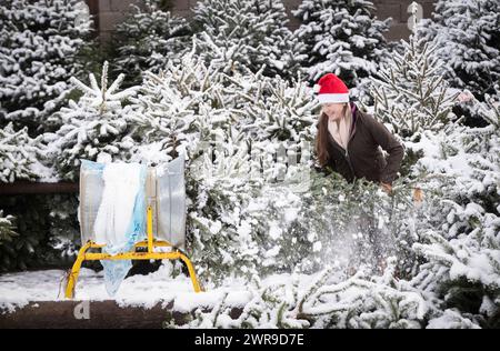 29/11/21, con la scuola chiusa a causa del tempo nevoso, la tredicenne Devan Ibbs aiuta a caricare gli alberi di Natale innevati nel nonno» Foto Stock